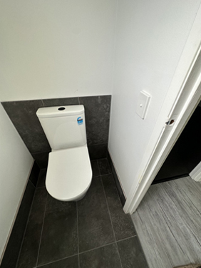 Wall-hung toilet on dark feature tile